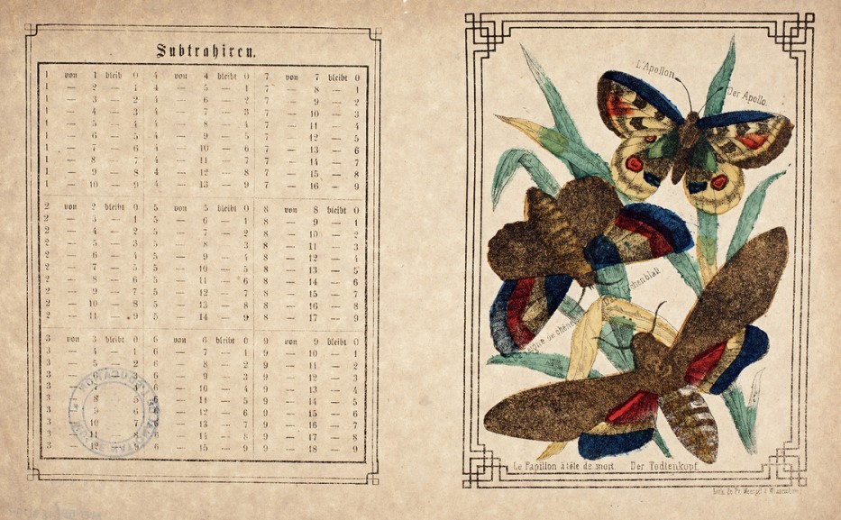 MICROCOSME — Iconographie entomologique : illustrer un&nbsp;écosystème