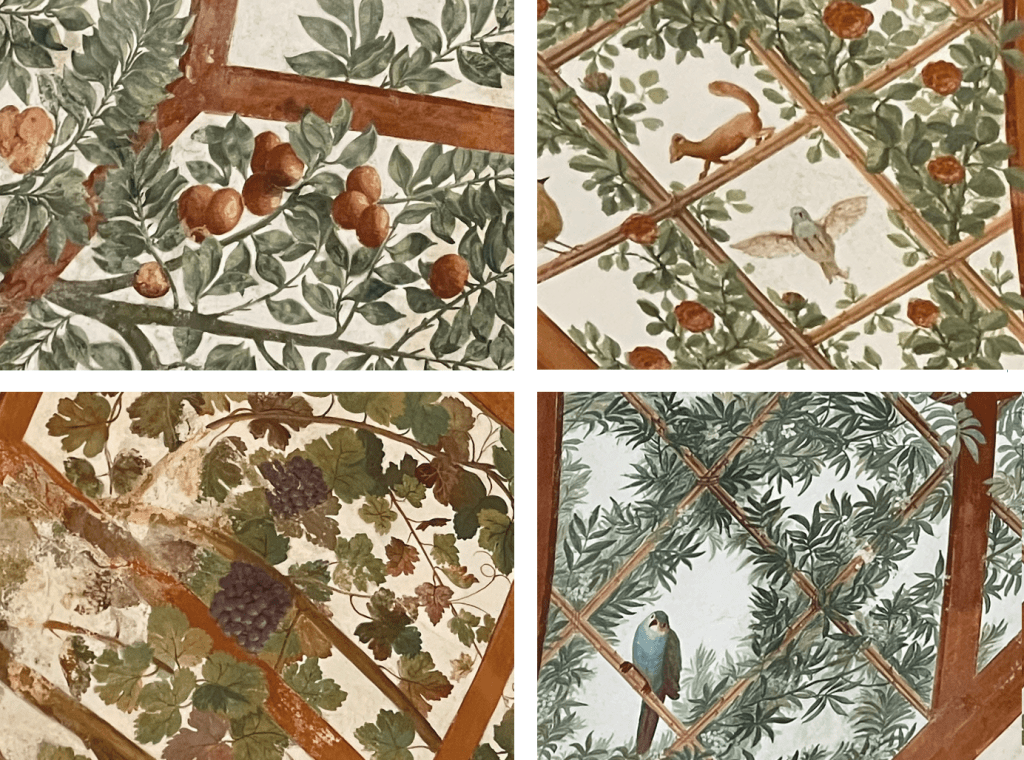 MICROCOSME — La pergola feinte de Frascati, théâtre de l’écosystème familial des&nbsp;Aldobrandini