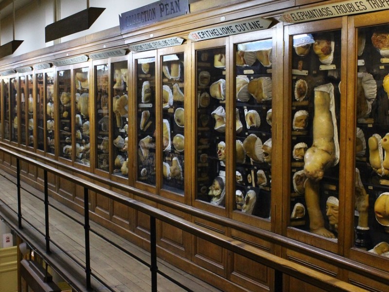 FAUX – Plus vrai que&nbsp;nature