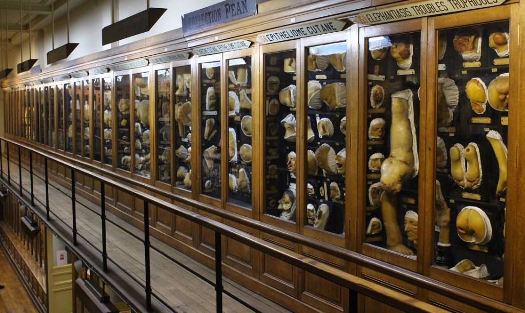 FAUX – Plus vrai que&nbsp;nature